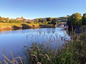 Guided Visit in French - Totnes