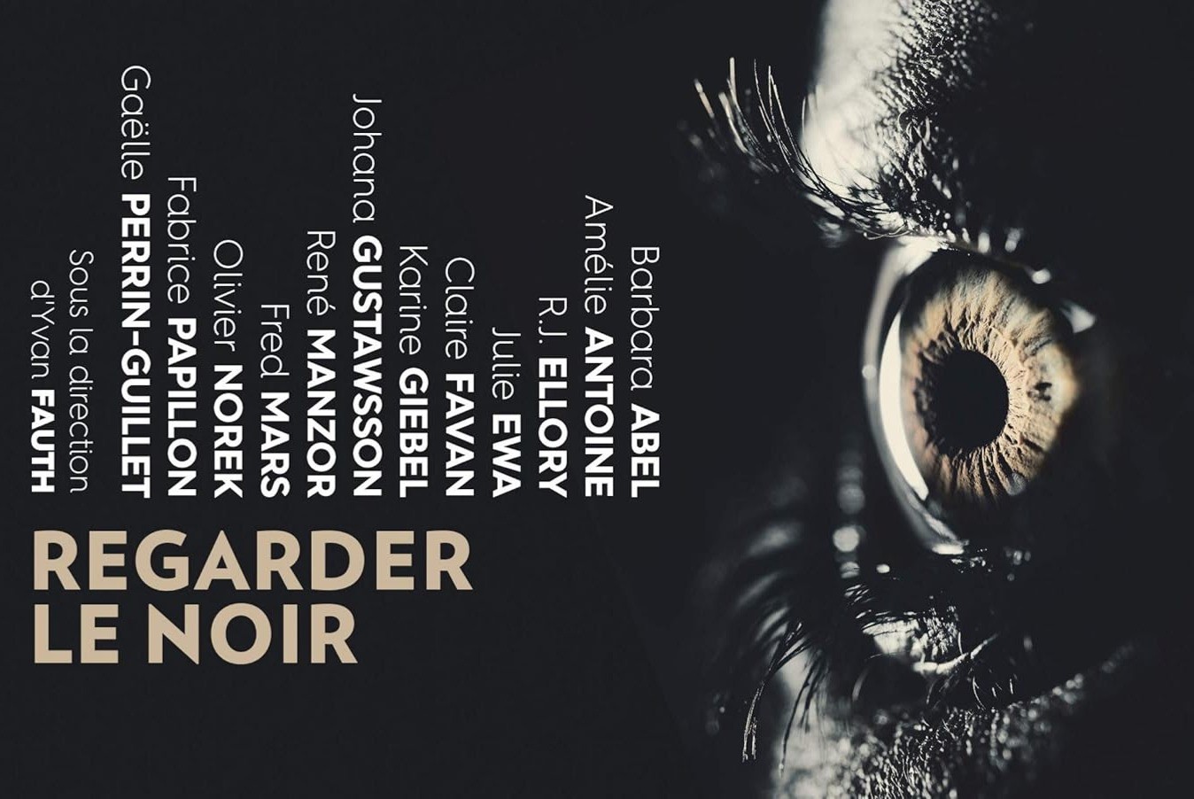 Book Club - Regarder le Noir:  12 Nouvelles